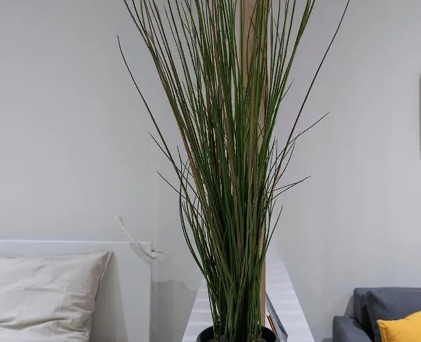 ※perrier Tranche※ Emplacement ⁕ Clermont-Ferrand